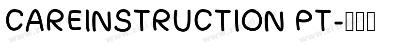 CAREINSTRUCTION PT字体转换